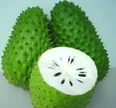 <b>Graviola</b><br />High in carbohydrates.  Traditionally used as digestive aid
